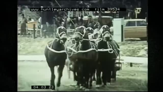 South Africa - 1960 vs 2021