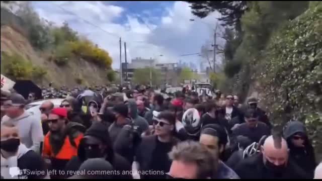 AUSSIE PIGS SMASHED AGAIN - THIS ONE WILL MAKE YOUR  DAY!