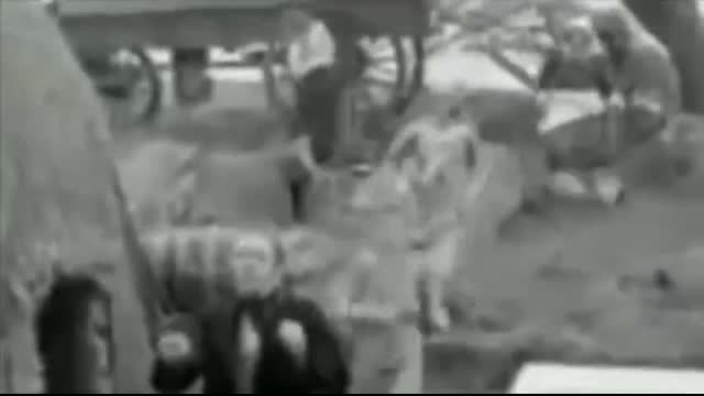 Between Heaven and Hell - The True Story of Whites in South Africa