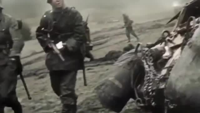 Do You Think Our Ancestors Knew This is What They Fought WW2 For?