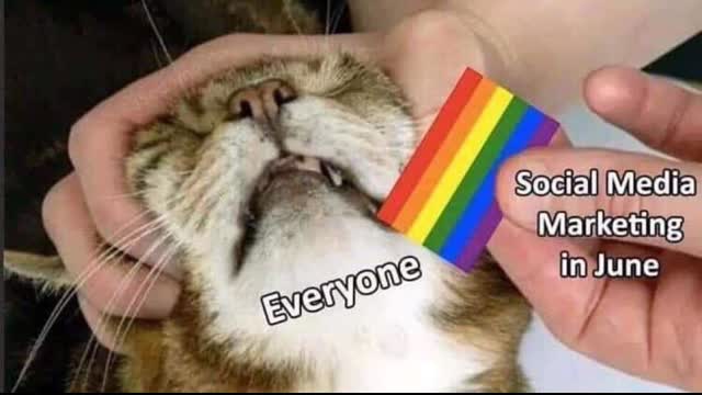 The Trans/Homo Manifesto