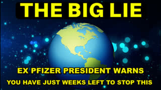 THE LIES JUST DON'T END - FORMER PFIZER VICE-PRESIDENT WARNS YOU HAVE JUST WEEKS LEFT TO STOP THIS