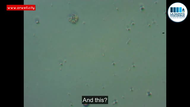 Identification of objects with graphenic patterns and microtechnology in Pfizer vaccination vial