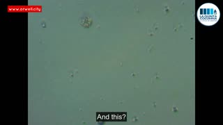 Identification of objects with graphenic patterns and microtechnology in Pfizer vaccination vial