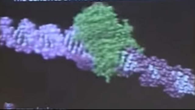 The Genetics of the Mark of the Beast