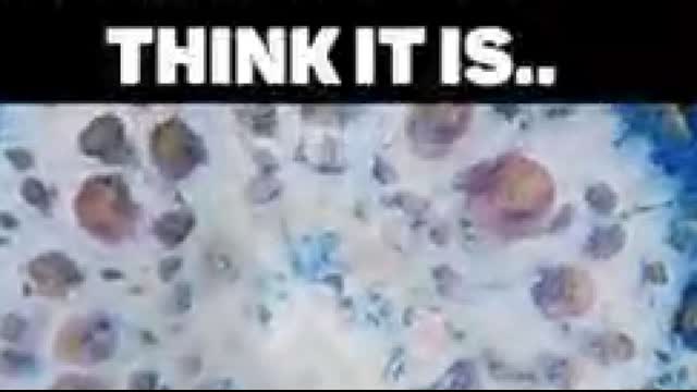 Netflix is a propaganda machine of degeneracy , turn it off