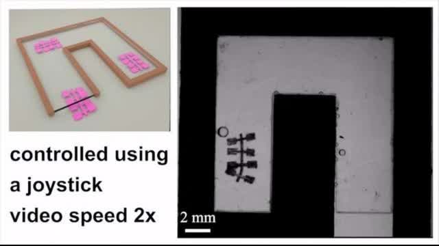 Get your Shot Goy and Maintain humanity under 500,000,000