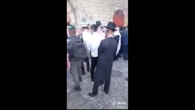 Herd of rats around Al-Aqsa under israeli police protection