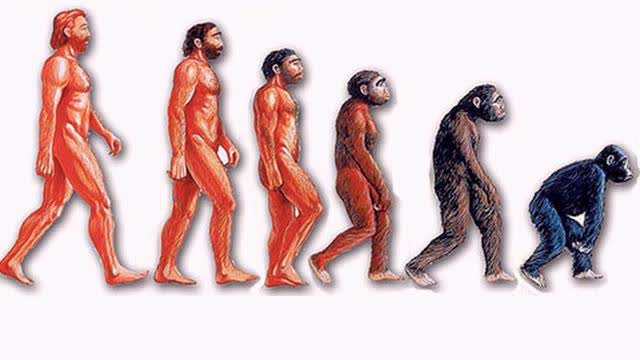 Evolution Has Gone Into Reverse