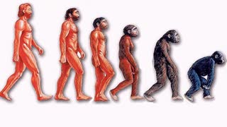 Evolution Has Gone Into Reverse