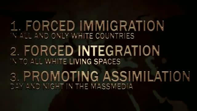 The End Game - White Genocide