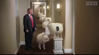 Edomite Jew Donald Trump 911 Sheep