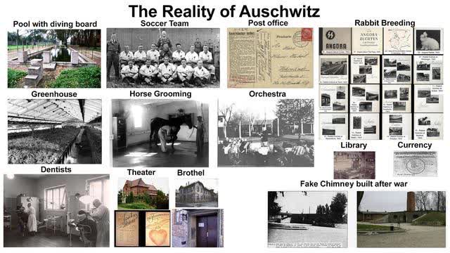 Adolf Hitler vs The Jew World Order - by Eric Dubay