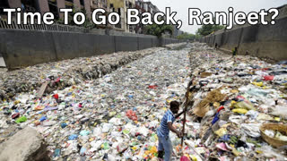 PERM, H-1B Jeet Visa, Green Card Scam Ending? Race Realism, Comfy Thursday Livestream