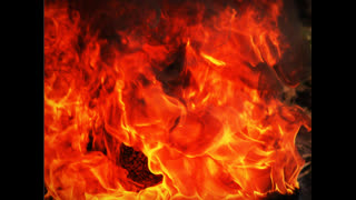 exposing Paul miller