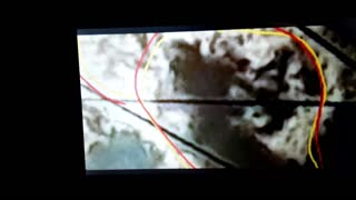 SOUL SNATCHERS ðŸ’šâš–