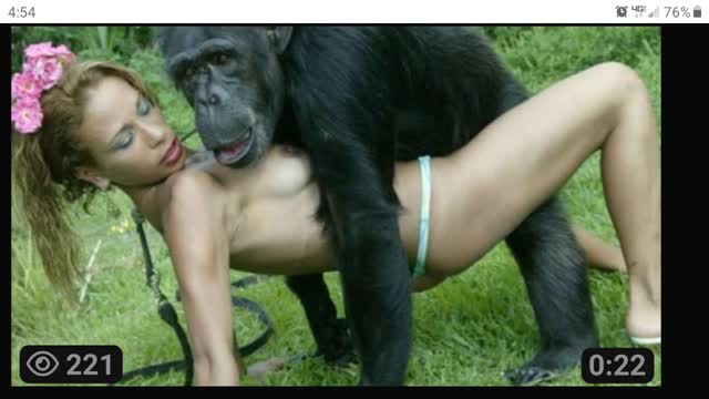 A lengthy compilation of low nigger iq