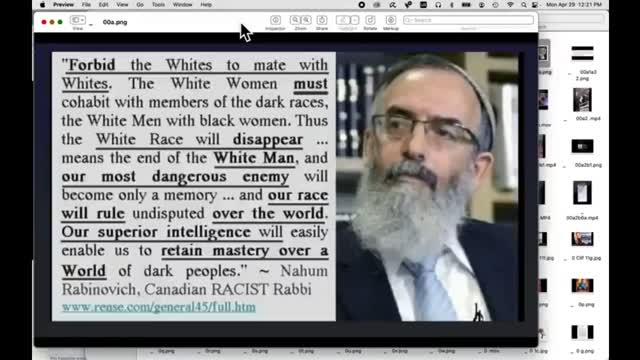 THE GREAT REPLACEMENT: A RENSE VIDEO