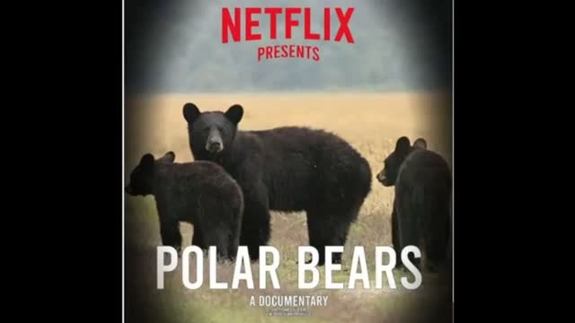 Free houses for illegals subsidized by real Americans..