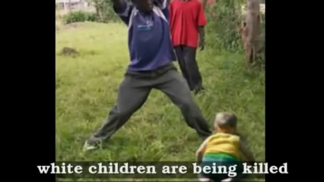 U can give a monkey a badge, once they return to jungle apes force ape transformation