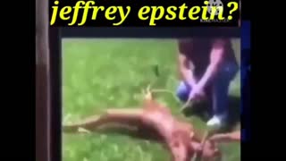 Kike rats caught in jew tunnel in nyc