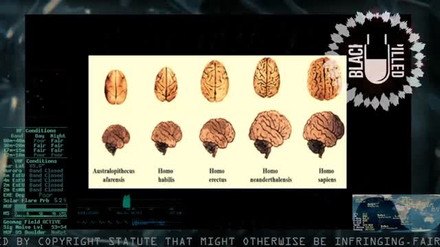 America has been sentenced to death by permanent nigger country injection.. nick Fuentes