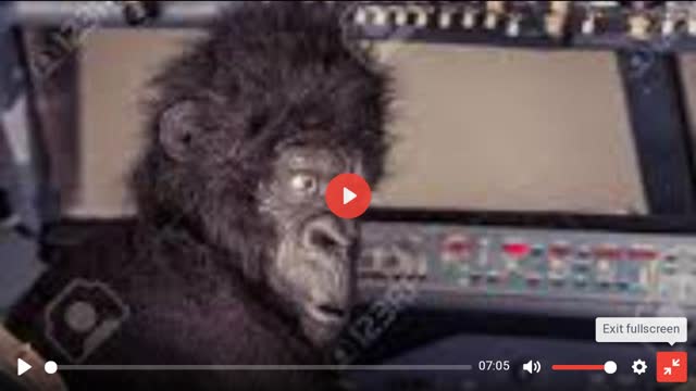 Nigger tears up casino like a feral zoo escapee