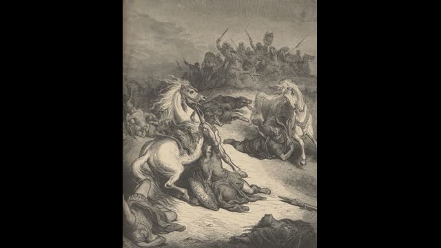 Fight cut short when white winning leads to black barrage.