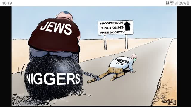 Never relax around niggers