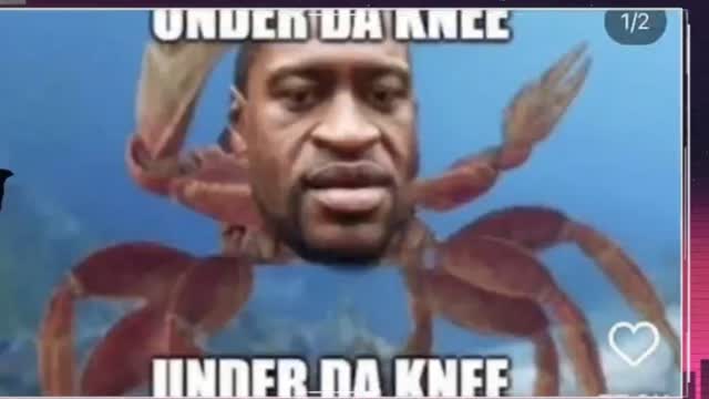 Niggers will meet their ancestors justice which carries no peace