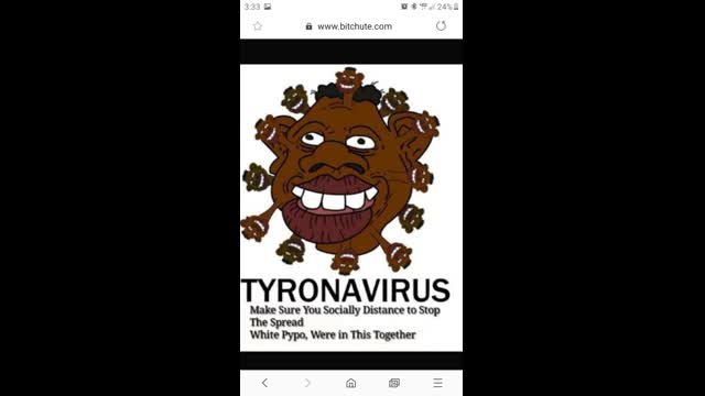 NIGGERS waddling like apes as they kill a guy