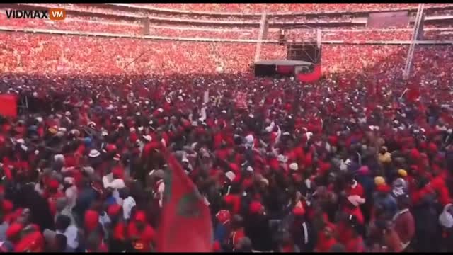 Hundreds of niggers in a stadium built by white people scream "kill all white people"