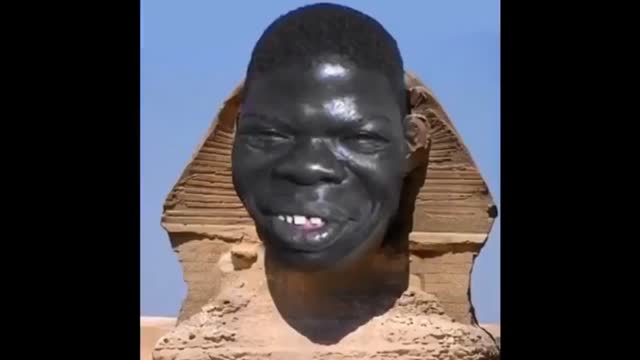 Lmfao cheese niggers are so emboldened how the fuck we get here