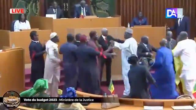 NO IMPULSE CONTROL, NIGGER CHIMPOUT In African Parliament