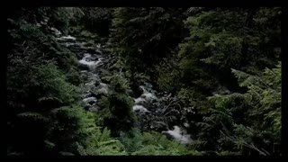 THE KIKE AND HIS ANTI-WHITE SOCIETY (1700)