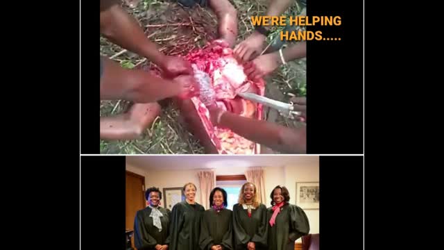 NIGGER GEORGIA JUDGE IS REMOVED FROM THE BENCH AFTER HER WILD ARREST WHERE SHE ASSAULTED COP