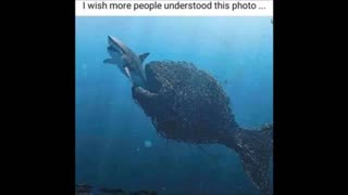 (Repost) guy loved black people, defended them his entire life.. which bv then ends by one and then his "gf" get spit in her face by same one