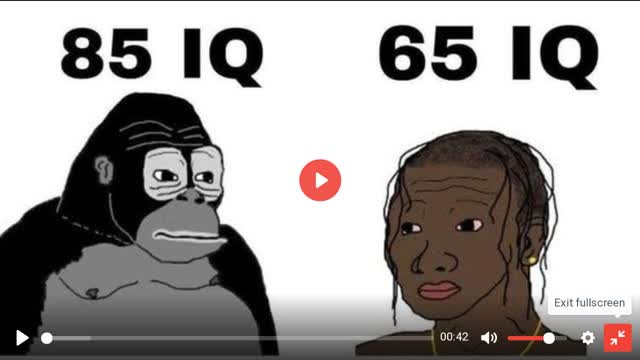 Orangutans are smarter than NIGGER