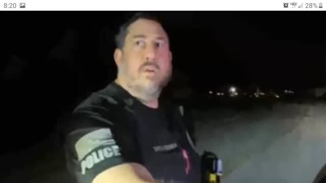 Mob of niggers attack cop. Eventually get shot at