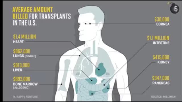 RAPE, ROB, DECEIVE, LIE AND TORTURE AT WILL (RP)