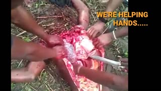 NEVER FORGET WHO TRIED TO KILL YOU