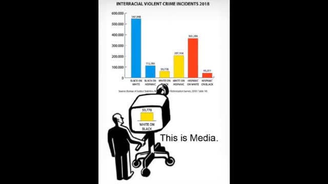 Chad handles retarded aggressive feral nigger..