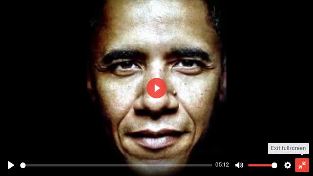 Nigger returns himself to tha ZOO