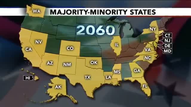 INSOMNIA STREAM  PAPERCLIP EDITION