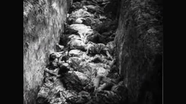 The jews dream of niggers slaughtering us all