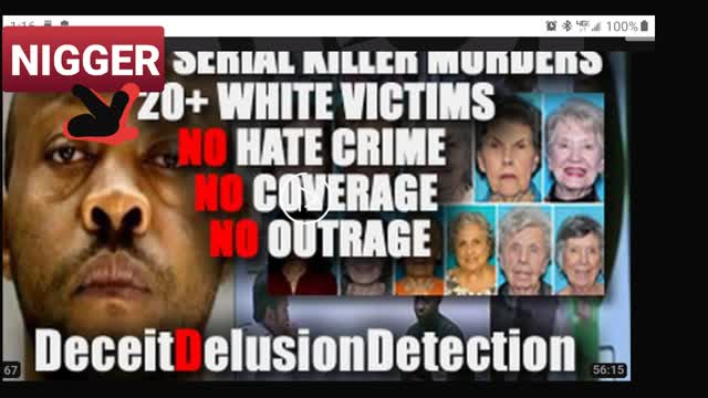 NIGGER SERIAL KILLER MURDERS 20+ WHITE ELDERLY VICTIMS-DECEITDELUSIONDETECTION