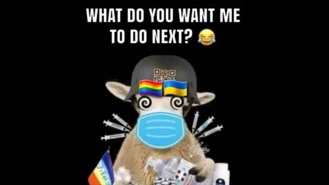 Jew think we got it too nice, want open borders to create more problems as a gift/blessing