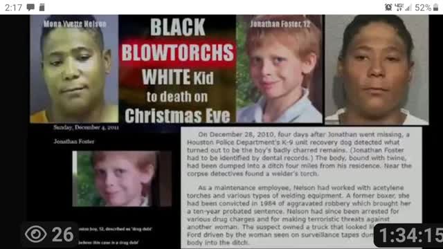 ACTUAL NIGGER CRIME STATISTICS