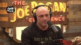 This is a version of Joe Rogan I can support