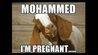 QUOTE VIDEO : JEWS - INCEST: ALL JEWS ARE INBRED